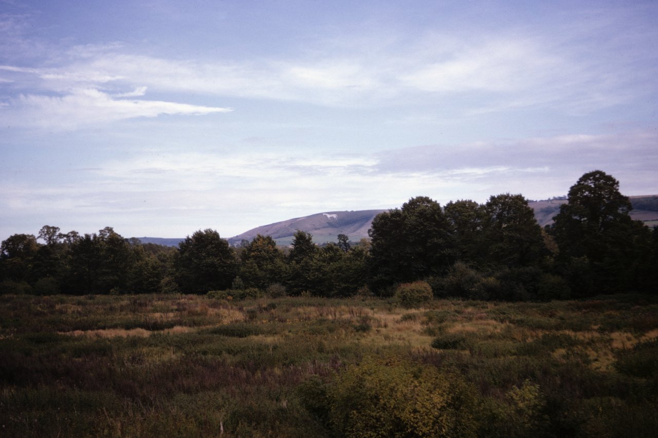 220 White Horse in chalk hill Westbury Fall 1963-s